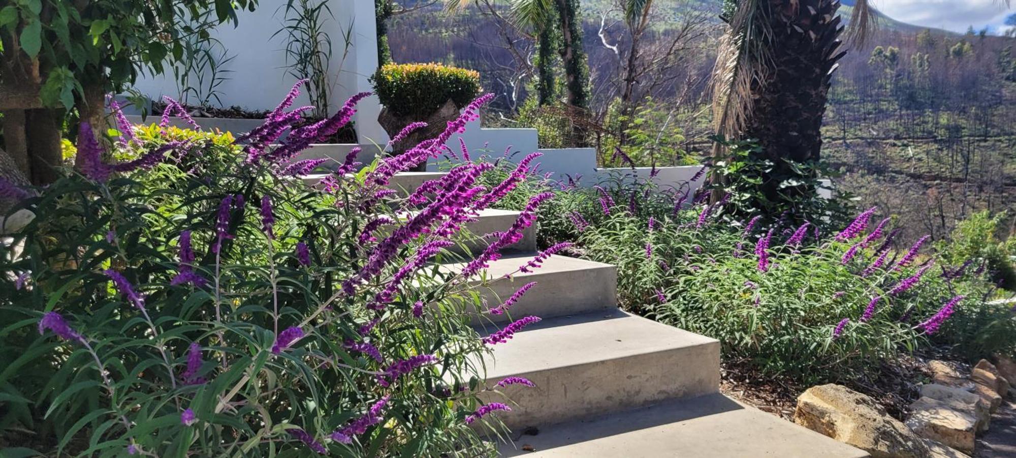 De Molen Guest House Somerset West Bagian luar foto