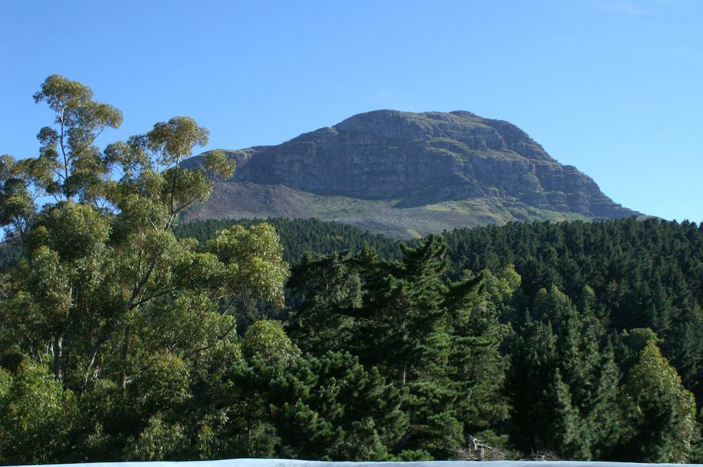 De Molen Guest House Somerset West Ruang foto
